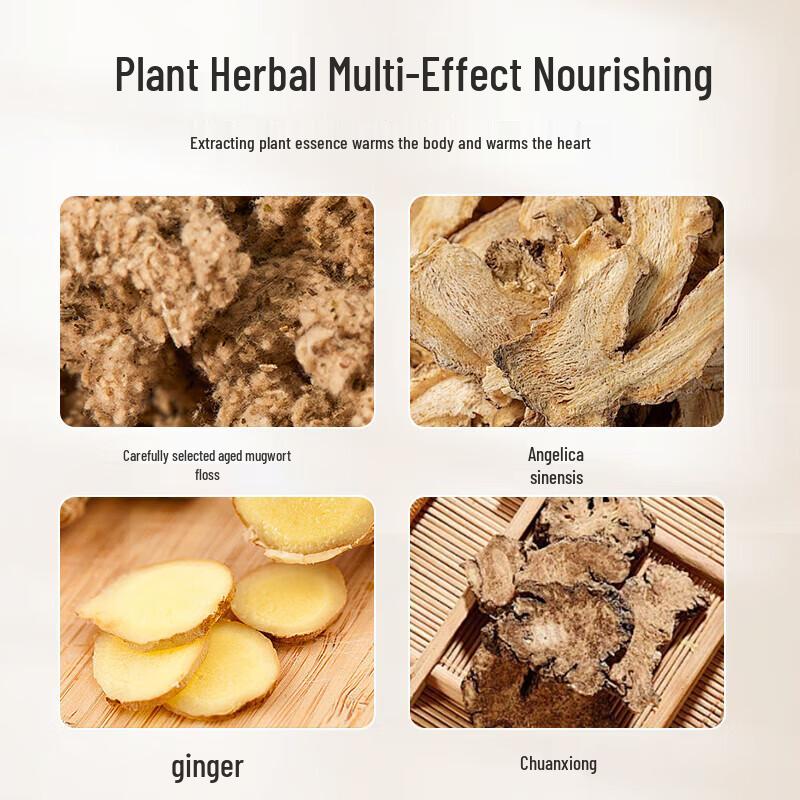 Aixiu Tang Mugwort Multi-purpose Herbal Heating Patch CN Plug (adapter Included)