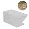 Transparent Fish Tank Trap Acrylic One Way Trap Durable Shrimp Catcher  Reptile Terrarium