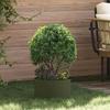 Plant Ring Olive Green 30 X 30 X 20 Cm Cold Rolled Steel