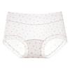 Ladies' Summer Thin Pure Cotton Antibacterial Crotch Ice Silk Nude Feel Seamless Small Briefs