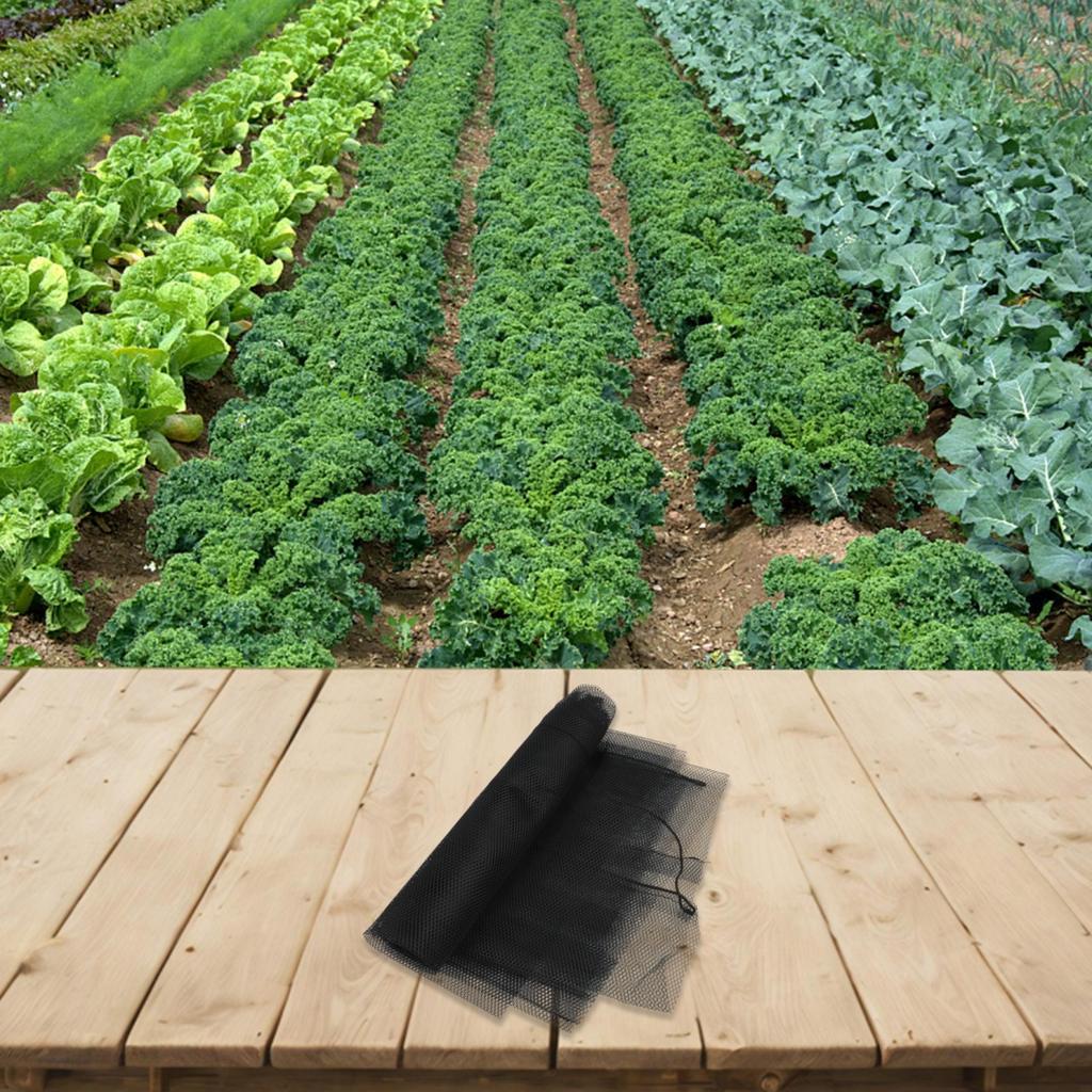 3 Meters Agricultural Tunnel for Protecting Crops from Insects and Frost