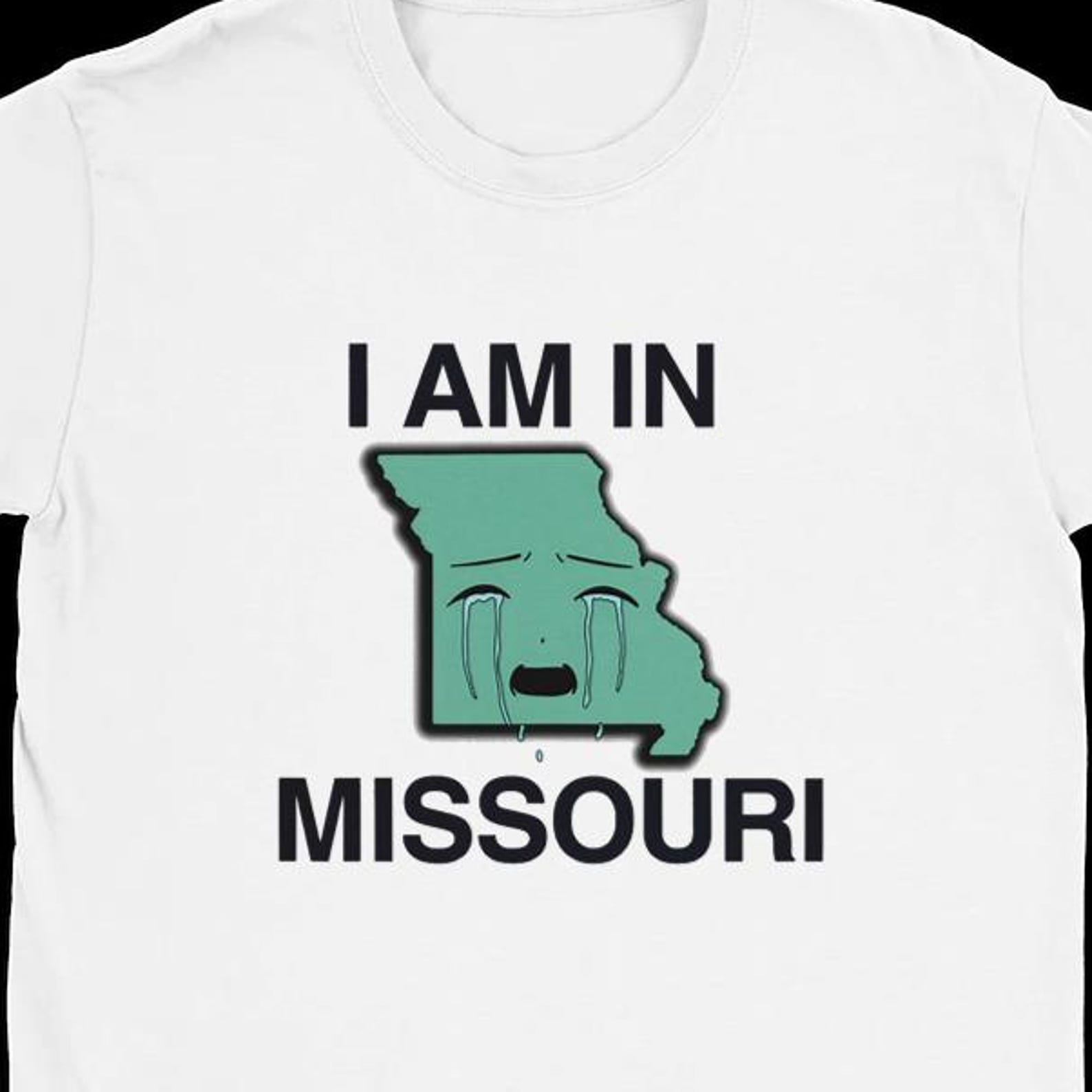 Funny T-Shirt | I AM IN | Dark Humor Fans | College Style | Streetwear | Gildan Cotton Unisex S