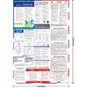 2026 Texas State and Federal Labor Laws Poster - English Version - OSHA Workplace Compliant - UV Waterproof Laminated 24" X 36" - Mandatory