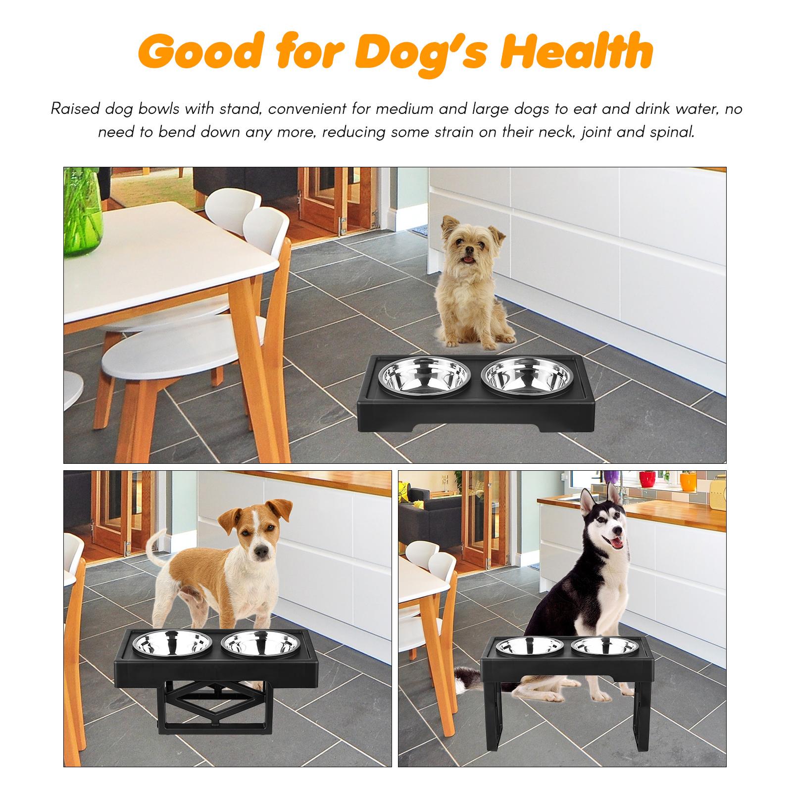 

Приподнятые миски для собак из нержавеющей стали, двойные миски для воды для корма для домашних животных с регулируемой подставкой для