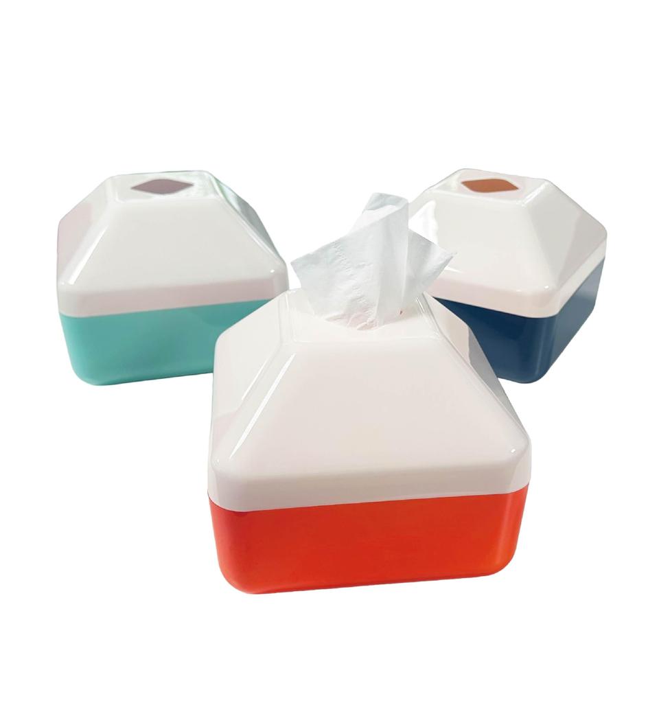 Cube-shaped tissue casetissue pot (ivory x mint)