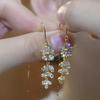 Korean Tassel Long Flower Earrings for Women - Light Luxury Niche Trend 2024