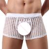 Men Sexy Hollow Out Shorts Briefs Low-rise Breathable Mesh Underwear Solid Color 3D