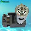 Compact DC Vacuum Piston Pump: 12V/24V Electric Negative Pressure Air Pump