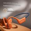 SANAG B77SProMax Bone Conduction Sports Headphones