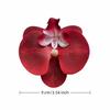 10 ks Realistická 9cm Simulovaná Motýlí Orchidej DIY Řemesla Hedvábná Motýlí Orchidej Květinová Hlavice Falešná Květinová Hlavice Svatba Ozdobná