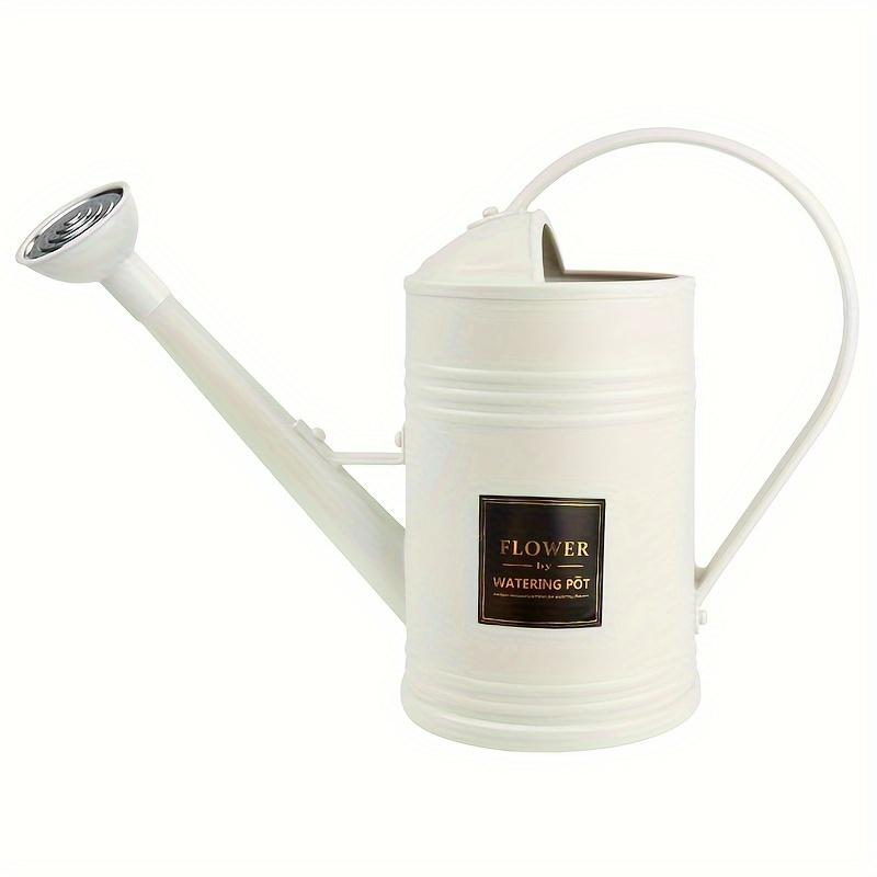 

Modern Handheld Watering Can with Detachable Spout - 05 Gallon Durable Plastic Watering Pot for IndoorOutdoor Plants Includes