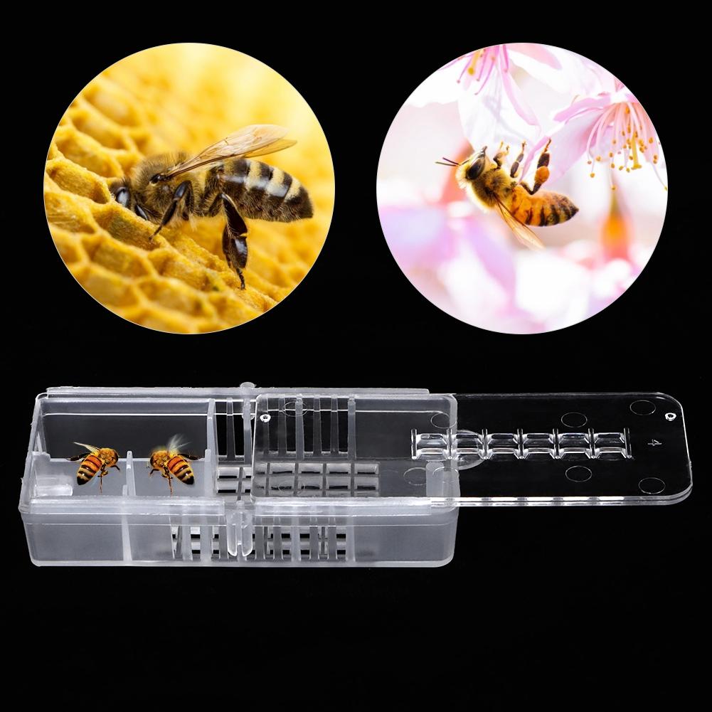 

10pcs Plastic Beekeeping Rearing Cup Kit Bee Queen Cages Beekeeper Equipment Tools
