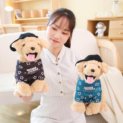 Cute Dressed Puppy Dog Doll Plush Toy Labrador Doll Children Sleeping Soothing Pillow Ragdoll
