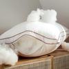 Nanjiren Skin-Friendly Soybean Fiber Pillow Pair