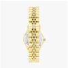 Vivienne Westwood Women Metal Watch Little Camberwell Vv311rbgd