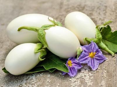 60 Seminte de vinete Ou alb - terasa gradina de legume - seminte taranesti reproductibile - Semiwild