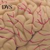 Modello Umano Cerebrale Accurato Simulazione 8 Parti PVC Dimensione Naturale Strumento Didattico di Anatomia per Aula