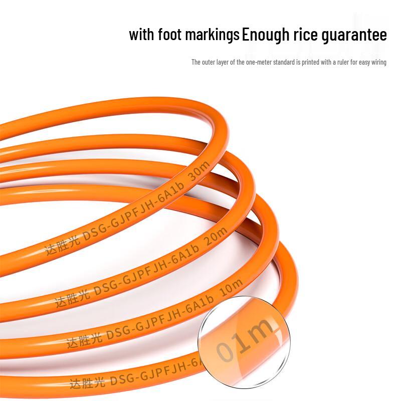 Dasheng Light Indoor Multimode Fiber Optic Cable