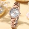 Light Luxury Stainless Steel Women'S Watch Calendar Waterproof Premium Watch Women'S Quartz Watch