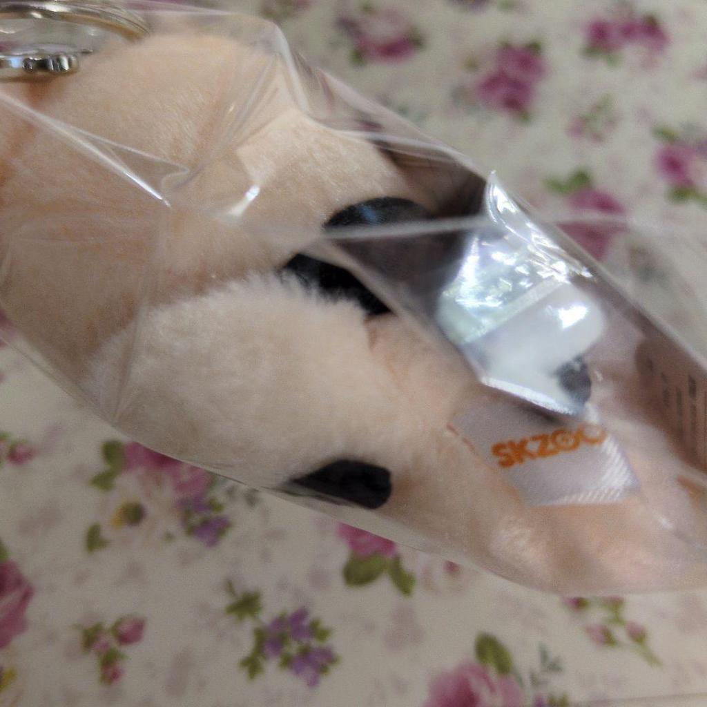 [USED] Skzoo Seungmin Papim 10cm Plush Magnetic Key Ring