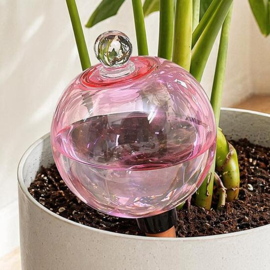 Self Watering Bulb, 500ml Transparent Automatic Plant Irrigation Ball, Holiday Plant Watering Bulb with Lid for Indoor Houseplants