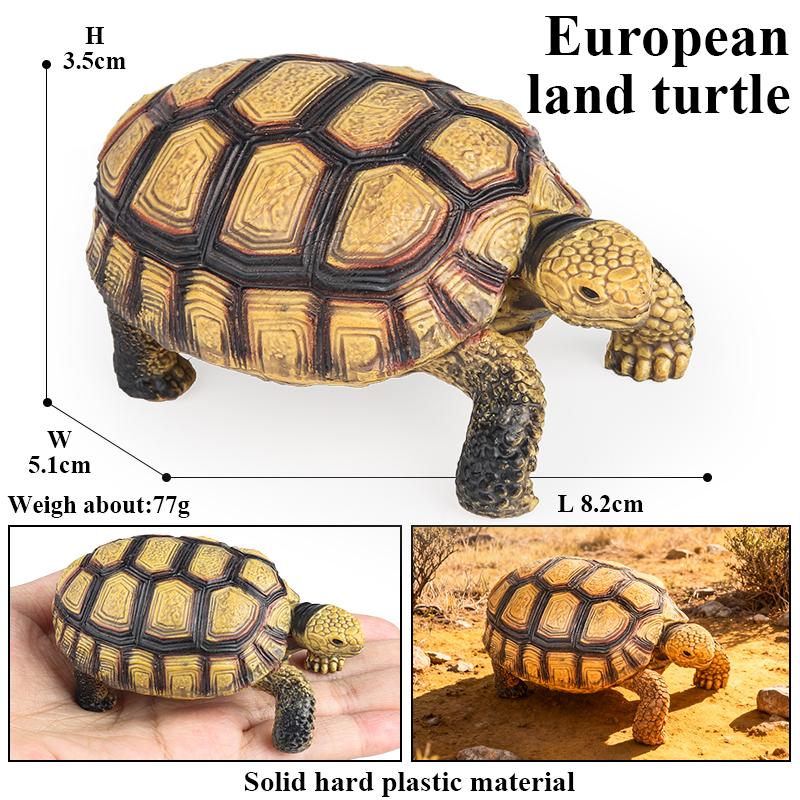 Oenux Reptile Animals Star Turtle Tortoise Geochelone Model Figurines Action Figures PVC Ornament Education Kid Toy Gift