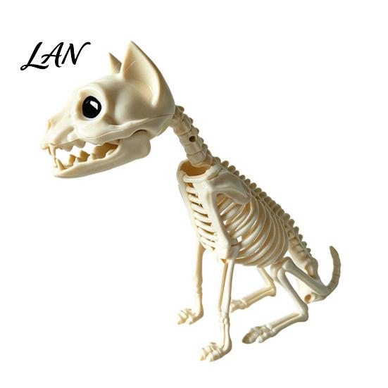 Creepy Halloween Party Props Animal Skeleton, Realistic Fish Bird Spider Snake Cat Skeleton Spooky Model for Party, Haunted House, Graveyard