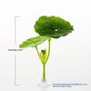 1pcs Green Leaf Hammock For Betta Fish Stress-Reducing Aquarium-Safe Decor With Suction Cup For Fish Tank Fake Plants Decoration