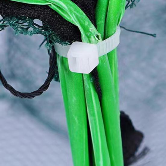 Foldable Fishing Trap Easy to Use Fishing Mesh Net with Steel Wire Portable Long-lasting Fishing Cage for Shrimp Crab Minnow