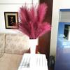 Artificial Pampas Grass Full and Soft Petals Lifelike Faux Pampas Grass Decor for Wedding Decoration Table Arrangement