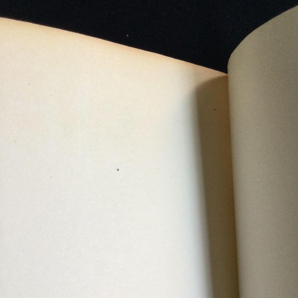 [USED] Jewelry Illustrations Foreign Books Jewelry Middle Ages Ancient Accessories Necklaces