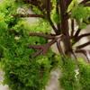 10pcs Banyan Trees Model 12cm HO OO Scale Model Trees  Train Garden Railroad Layout Diorama Artificial Miniature Tree Scenery