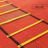 Agility Training Ladder