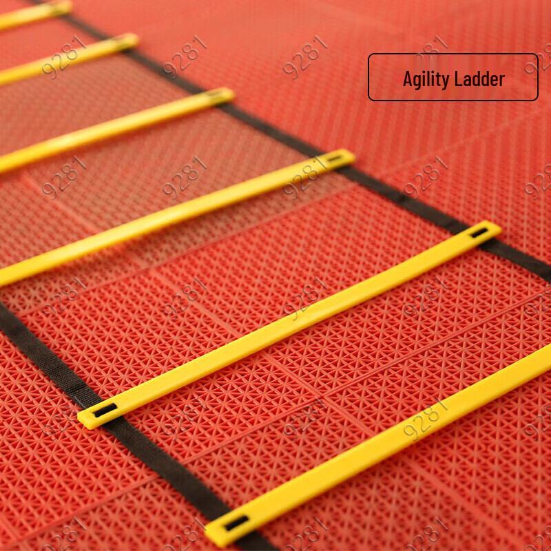 Agility Training Ladder