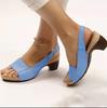 Sandals Women's Large Size Spring and Summer New European and American Fish Mouth Beach Thick Heel Buckle High Heel Women's Sandals