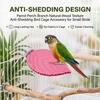 Parrot Perch Branch Natural-Wood Texture Anti-Shedding Bird Cage Accessory for Small Birds