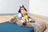 Steiff Cuddly Friends My First Bear Blonde 26cm 242120