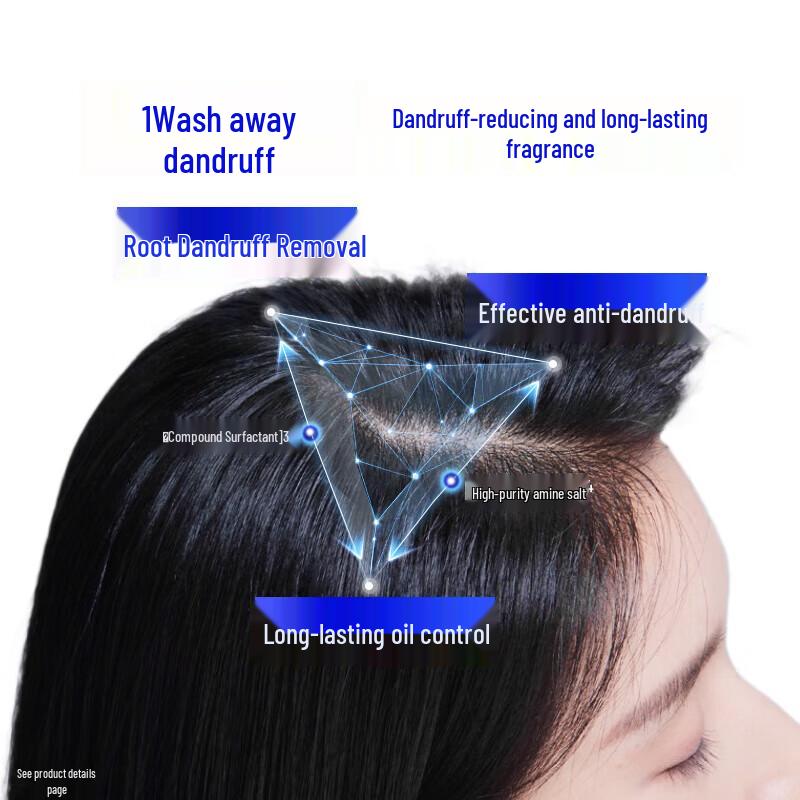 Head & Shoulders Anti-Dandruff Oil Control Shampoo