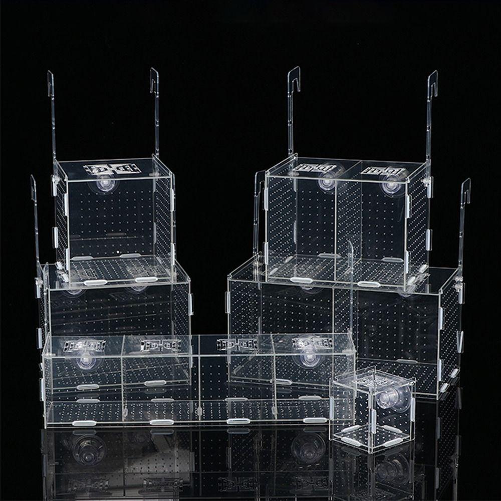 1 Stück Kleinfisch-Aquarium-Isolationsbox Laich-Schlupf-Brutkasten Trennwand Fischzuchtbox Transparentes Acryl