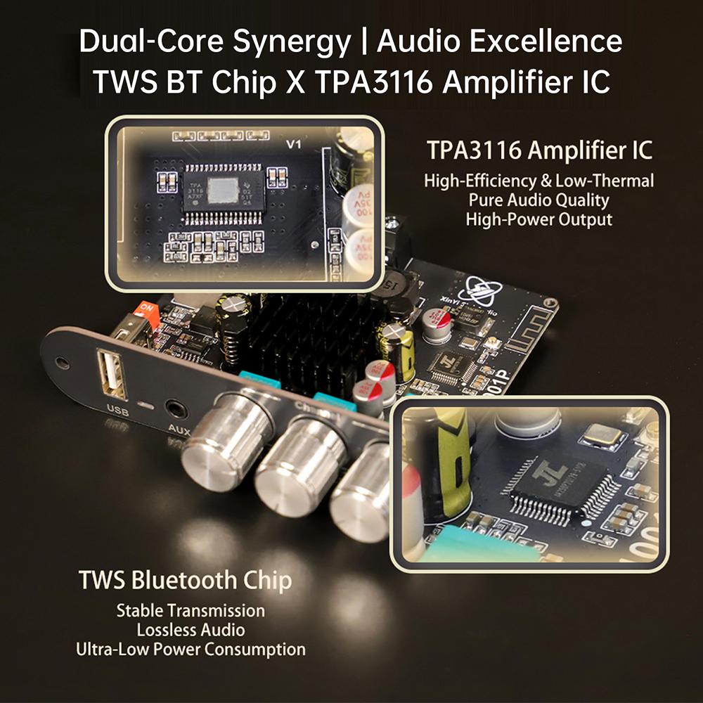 DC 12-24V T1001P Mono 100W BT Audio Amplifier With High And Low Frequency Adjustment Tws True Wireless TPA3116 Support For App