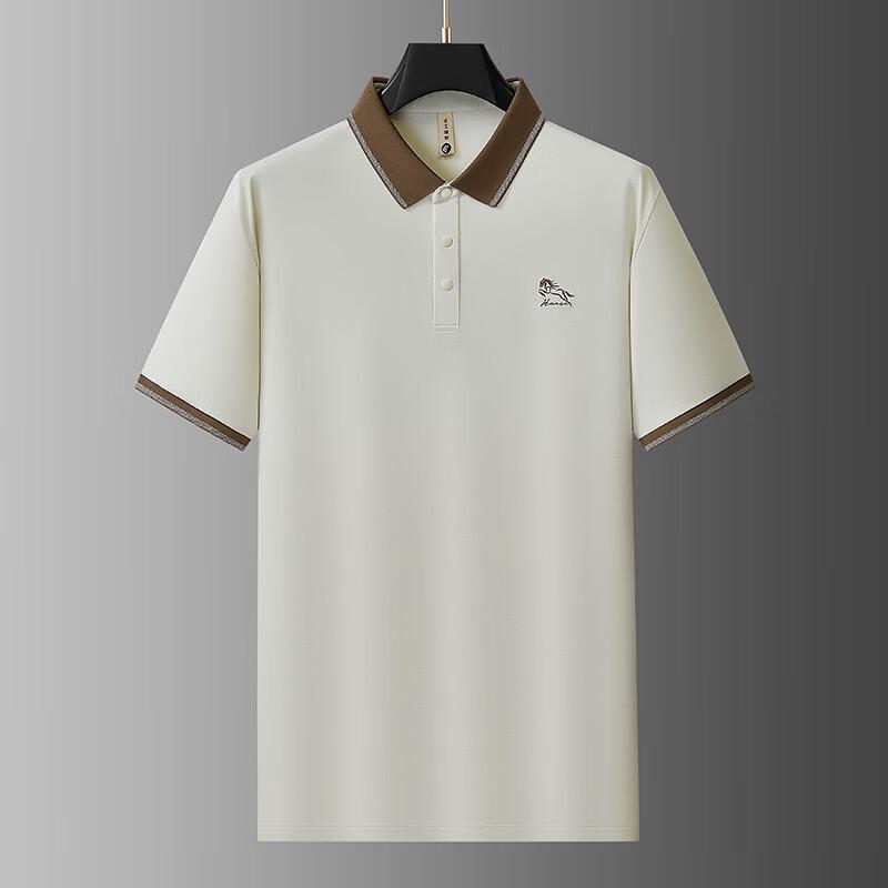 Men's Plus Size Short Sleeve Polo Shirt