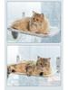 Four Seasons Foldable Cat Hammock: Window Suction Cup Floating Bed