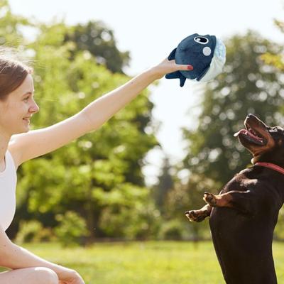 Dog Squeaky Toys Frog Shark Puppy Chewing Toys Removable Interactive Supplies Indestructible Teething Accessories For Small