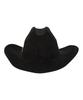 Yunibeosyeolkemiseuteuli Wire Cowboy Suede Black Long Fedora Fedora