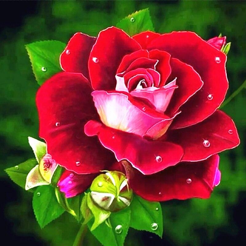 5D DIY Diamond Painting Rose Flower Diamond Embroidery Fresh Flowers Cross Stitch Full Round Drill Manual Home Decor Gift