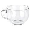 Large Glass with Handle for Drinking Coffee Tea Herbal Beverages Mug 650 Ml