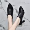 2025 Spring & Autumn Genuine Leather British Pointed-Toe High Heels - Women's Versatile Soft Black Shoes