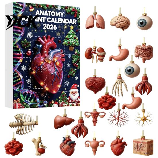 Acryl Anatomische Figuren Anatomie Adventskalender 2026, 24 Tage Organe Ornamente Weihnachten Countdown Kalender, 2D Wissenschaft Feiertagsbox Mensch A black