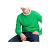 Polo Ralph Lauren Sweater Ss24 Solid Color Logo Embroidery Cable Knit Long Sleeve Kids sweater Green CWPOSWEY6820491-300