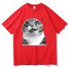 Y2k Retro Freaky Cat T Shirt Kawaii Unisexunisex Clothing Cotton Clothes Graphic Tops For Cat Lover Gifts Hight Quality T Shirts